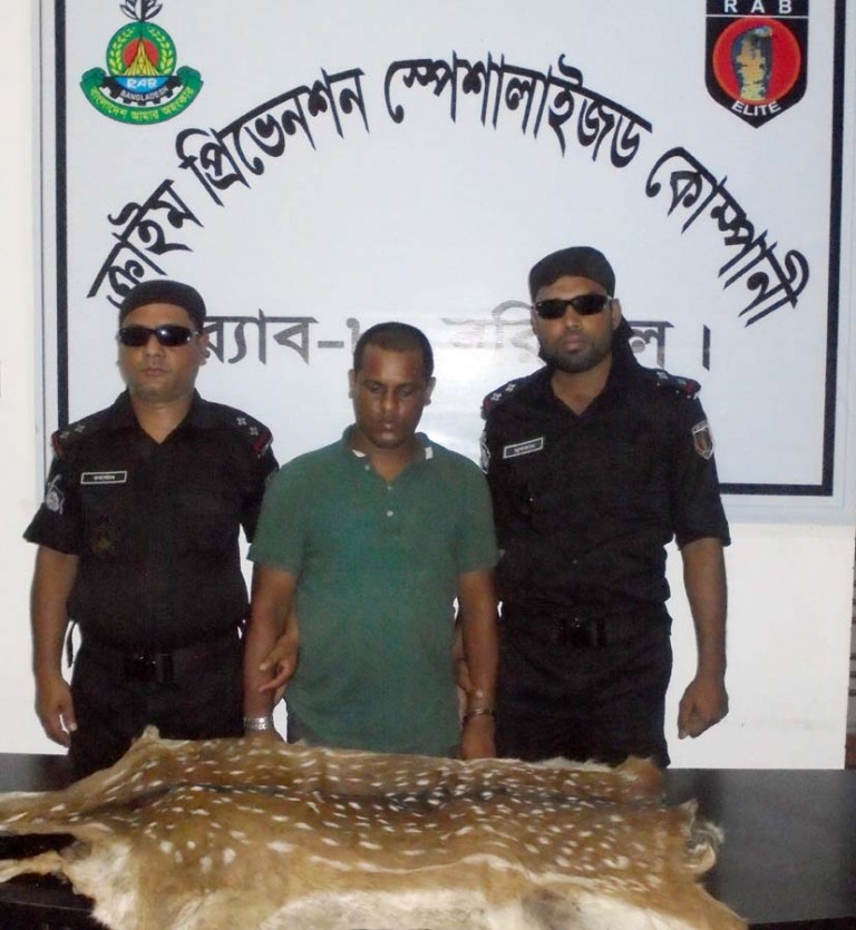 মঠবাড়িয়ায় র‌্যাবের অভিযানে চারটি হরিণের চামড়াসহ এক পাচারকারী গ্রেফতার