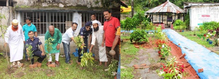 পিরোজপুরে মালঞ্চ নিসর্গে পাখির অভয়াশ্রম