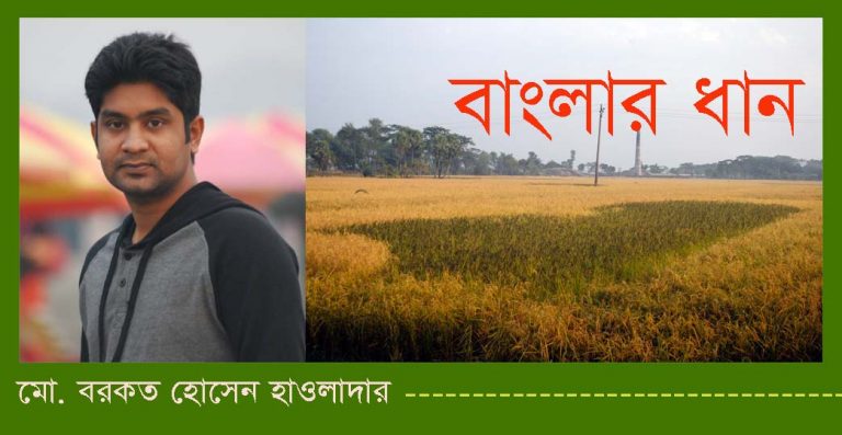 বাংলাদেশে ধানের জাত বৈচিত্র্য