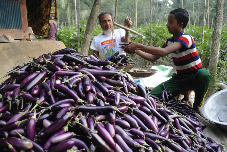 থোক বিলাসী