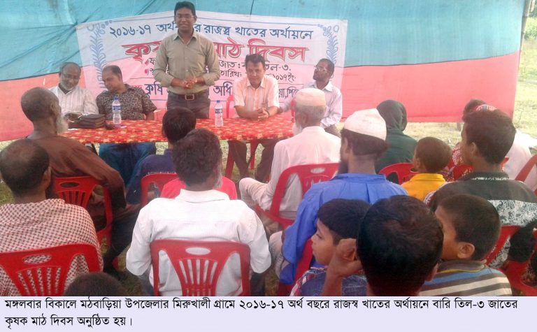 মঠবাড়িয়ায় কৃষক মাঠ দিবস অনুষ্ঠিত