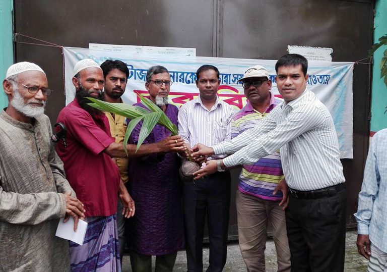 মঠবাড়িয়ায় উন্নতজাতের ভিয়েতনামের নারিকেল চারা সম্প্রসারণ কর্মসূচি
