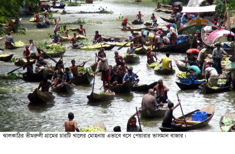 ভীমরুলীর ভাসমান পেয়ারার হাট