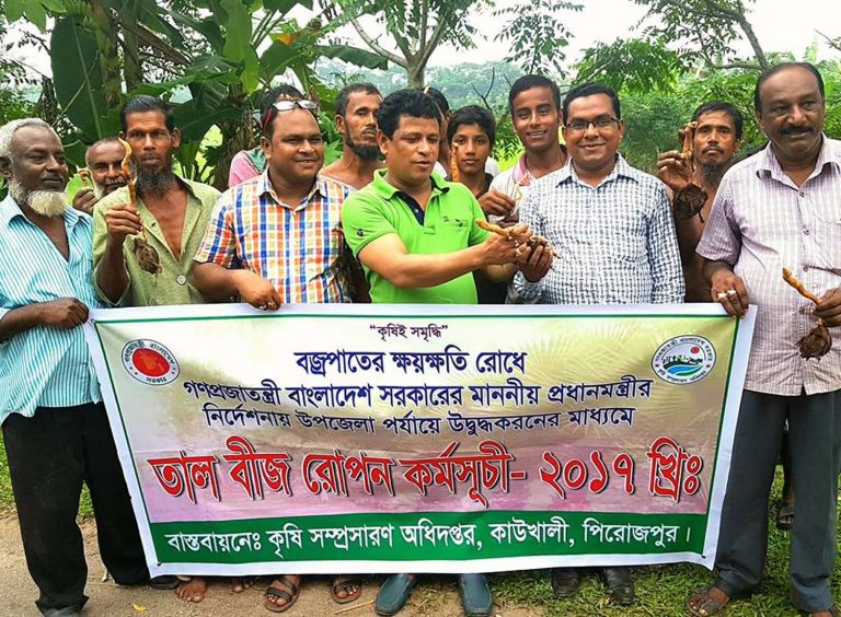 কাউখালীতে তালবীজ রোপণ কর্মসূচি