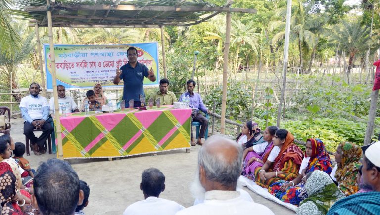 মঠবাড়িয়ায় বসতবাড়ির আঙিনায় সবজি চাষ বিষায়ক কর্মশালা