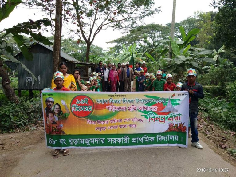 বেতাগীর বুড়া মজুমদার সরকারি প্রাথমিক বিদ্যালয়ে মহান বিজয় দিবস পালিত