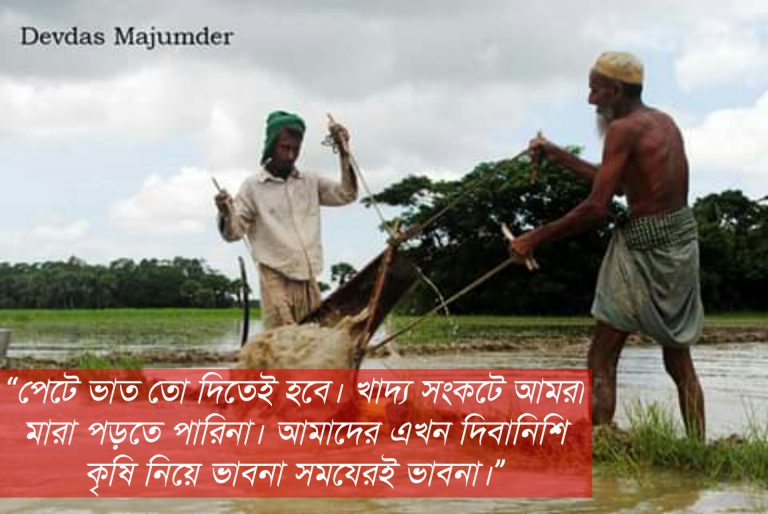 কৃষি দিবানিশি