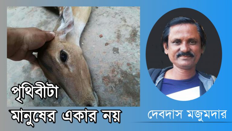 পৃথিবীটা মানুষের একার নয়