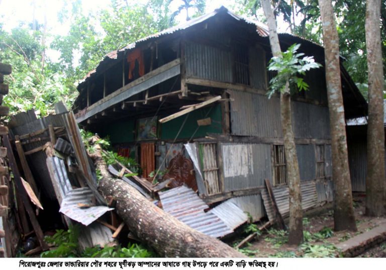 ভান্ডারিয়ায় আম্পানের ঝড়ে দুই শতাধিক বসতঘর ক্ষতিগ্রস্ত