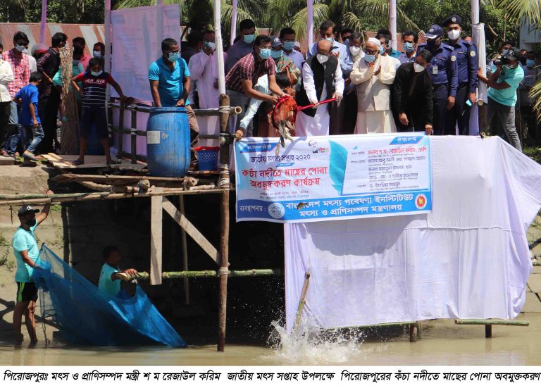 সরকারের কঠোর পদক্ষেপের কারণে এখন বিশ্বের আশি ভাগ ইলিশ মাছ বাংলাদেশে উৎপাদিত হয় —মৎস ও প্রাণিসম্পদ মন্ত্রী