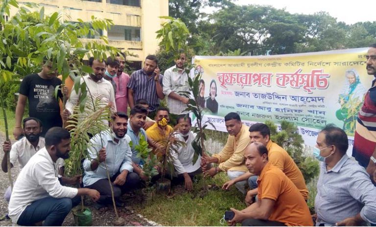 মঠবাড়িয়ায় যুবলীগের মাসব্যাপী বৃক্ষরোপণ কর্মসূচি