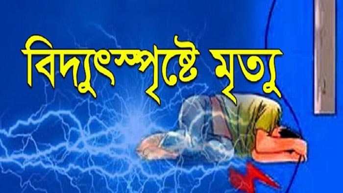 কাউখালীতে বিদ্যুৎস্পৃষ্ট হয়ে দিনমজুরের মৃত্যু
