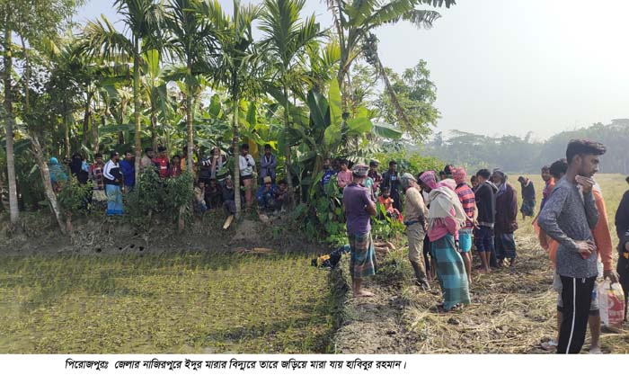 পিরোজপুরে অসুস্থ মাকে দেখতে এসে বিদ্যুৎস্পৃষ্টে যুবকের মৃত্যু