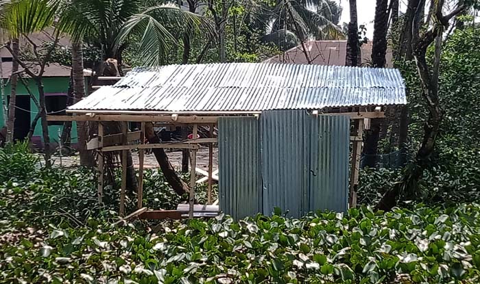 মঠবাড়িয়ায় স্কুলের জমিতে ঘর উত্তোলন করে দখলের চেষ্টা