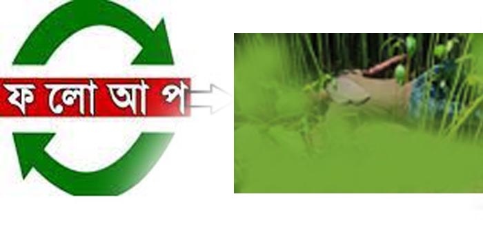 মঠবাড়িয়ায় শণবনে উদ্ধারকৃত অজ্ঞাত লাশের পরিচয় মিলেছে