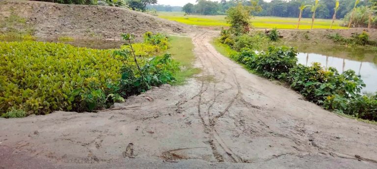 মঠবাড়িয়ায় সংযোগ খালে বাঁধ ও স্লুইজগেটের অভাবে অনাবাদি কৃষিজমি নিয়ে কৃষক বিপাকে