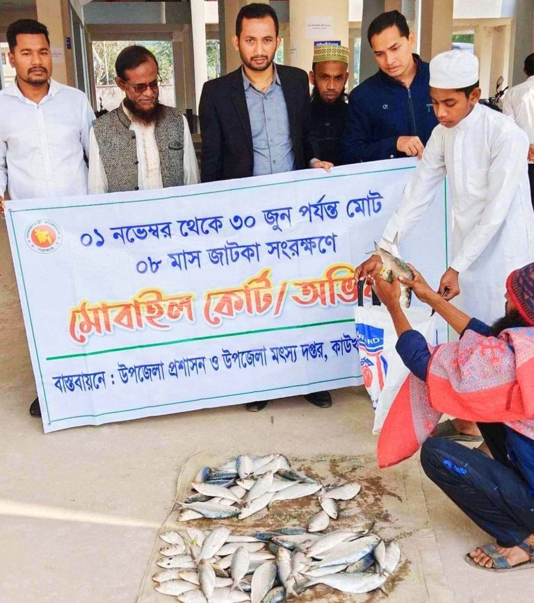 কাউখালীতে হাটে অভিযান চালিয়ে জাটকা জব্দ