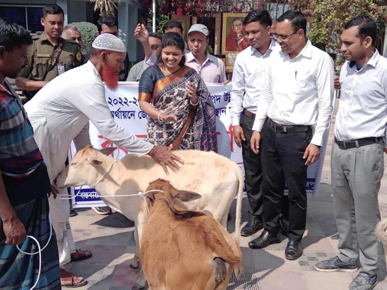 ভাণ্ডারিয়ায় জেলেদের মাঝে গাভী বিতরণ