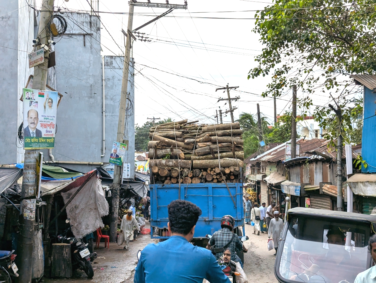 এত গাছ মানুষ বেইচ্চা ফালায়!